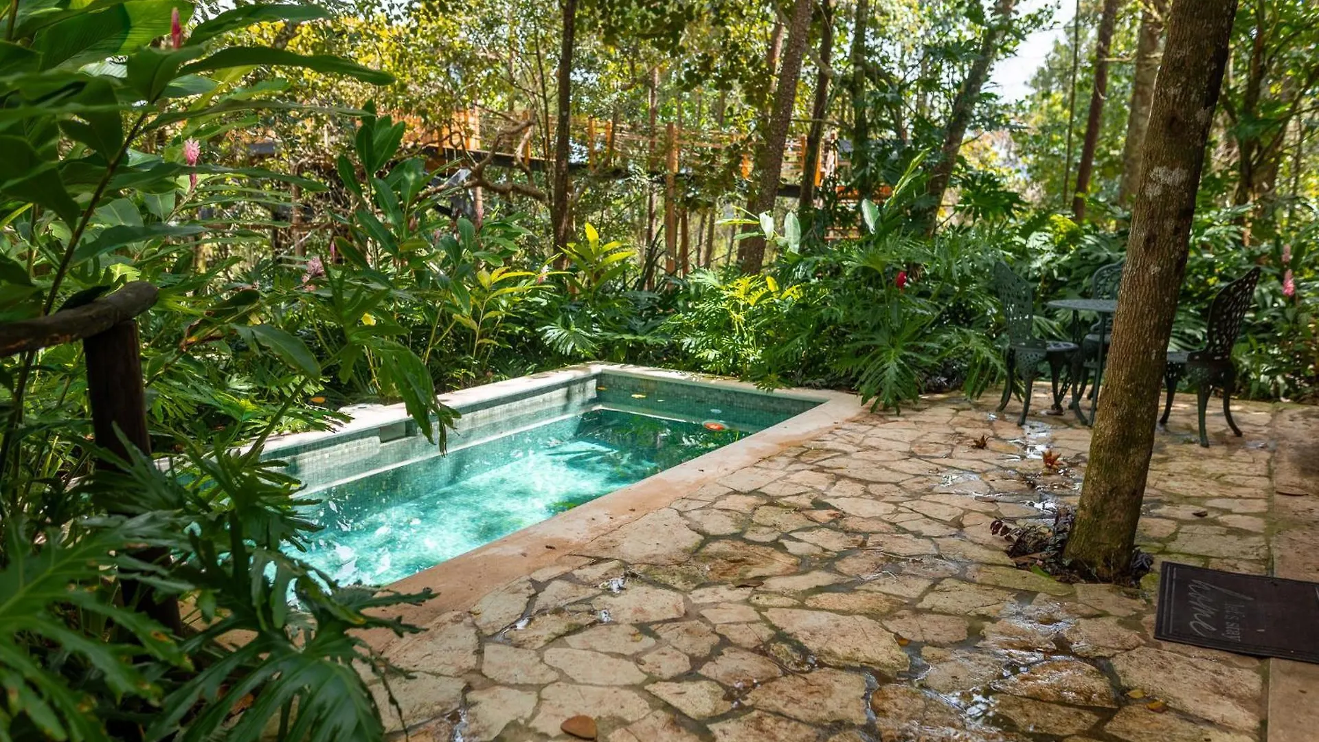 The Grand Forest Jarabacoa
