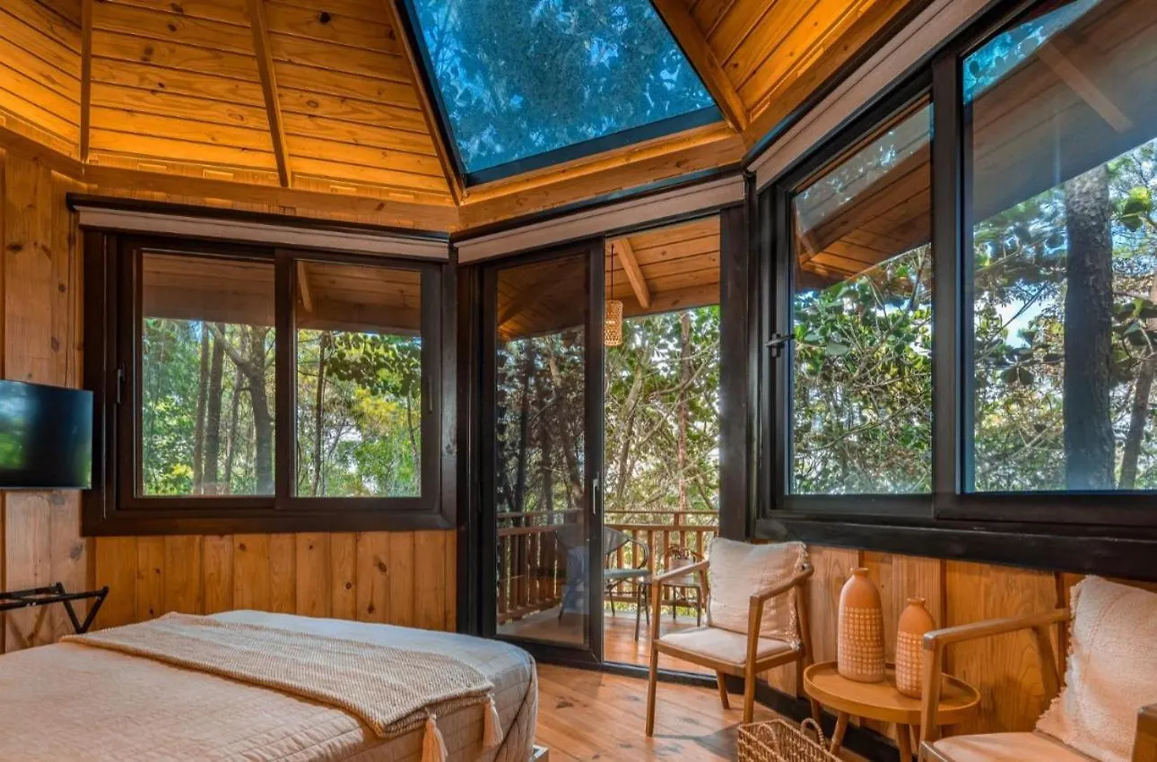 The Grand Forest Jarabacoa Vila